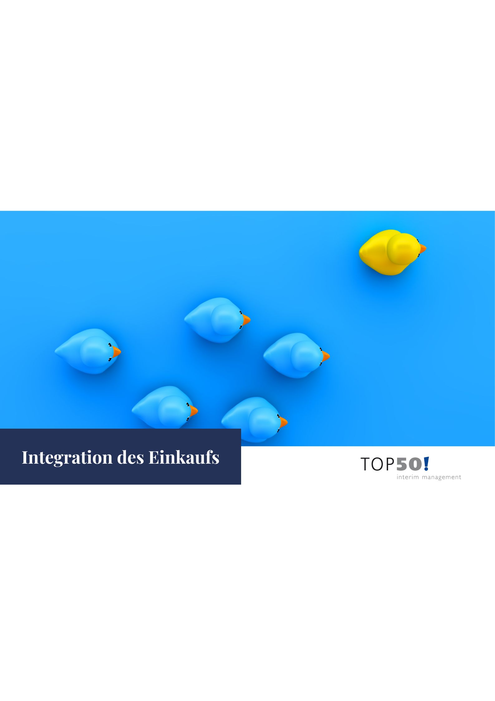 Herausforderungen und Lösungen bei der Integration des Einkaufs